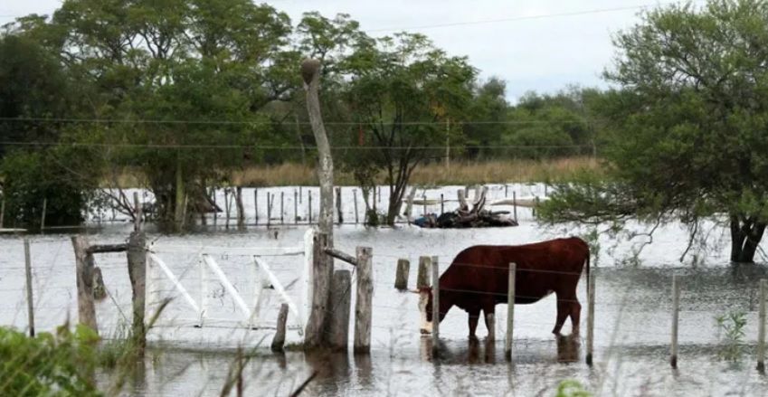 Las Lluvias Trajeron Esperanza A Productores De Sante Fe